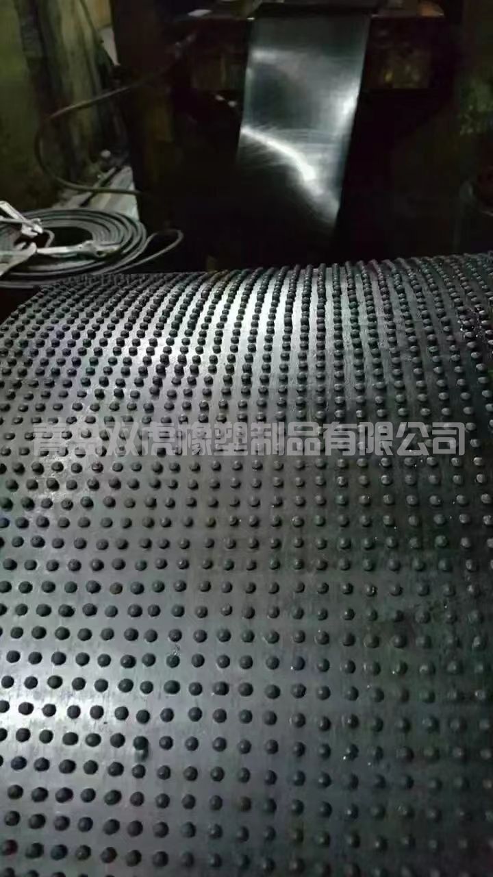 凸麻點輸送帶.jpg
